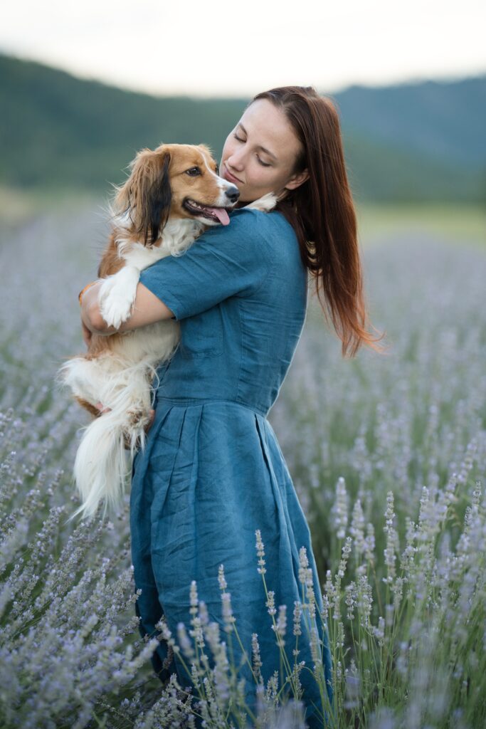 žena v modrých šatech držící psa kooikerhondje v rozkvetlém levandulovém poli